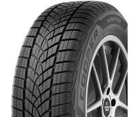225/55 R19 99 V     Téli