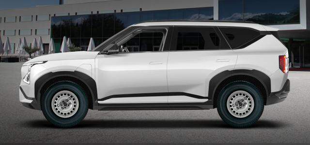Electric AWD (195kW) 65 kw 0 ccm