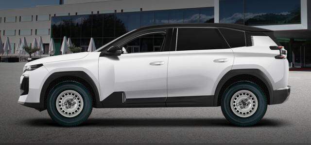 1.6 PHEV 110 kw 1598 ccm